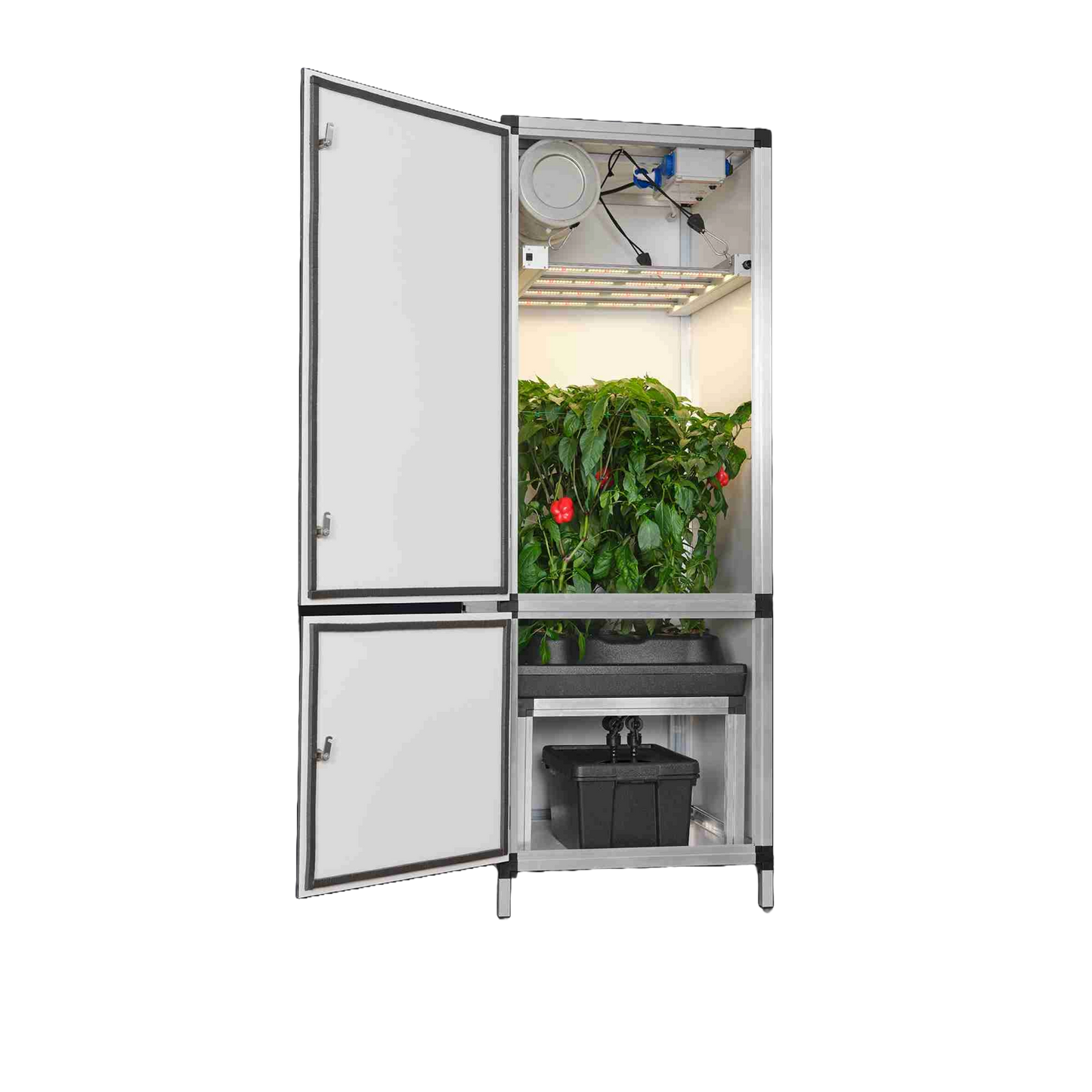 G-Tools - Bonanza Clima 0,35 m² + G-Bars + Bewässerungssystem - Blooming Town