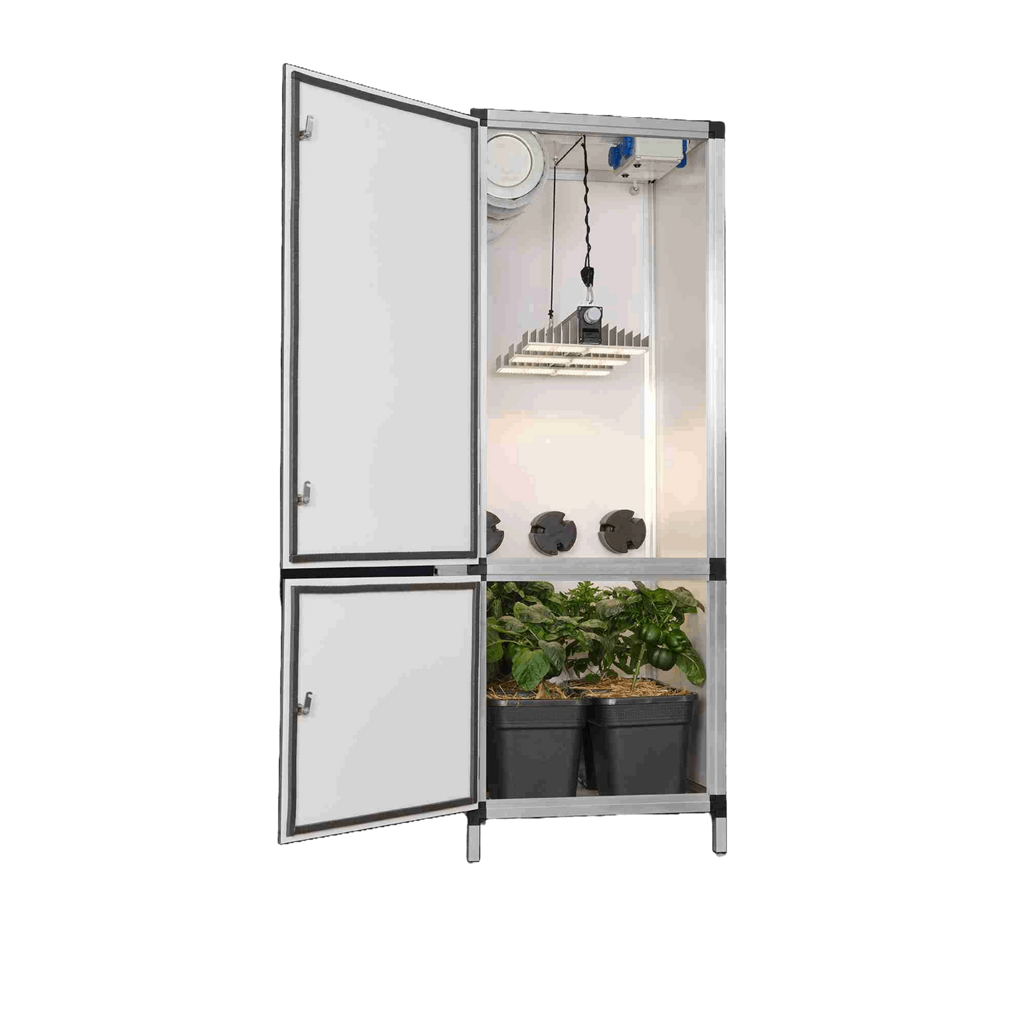 Blooming Town G-Tools - Bonanza Clima 0,35 m² + Sanlight