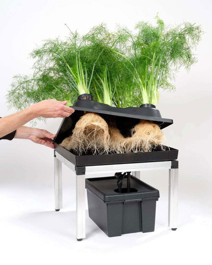 Blooming Town G-Tools - 3 in 1 Bewässerungssystem 0,35 m²