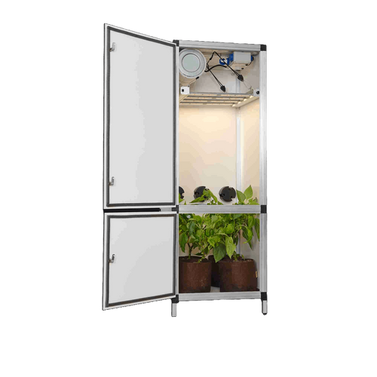Blooming Town G-Tools - Bonanza Clima 0,35 m² + G-Bars