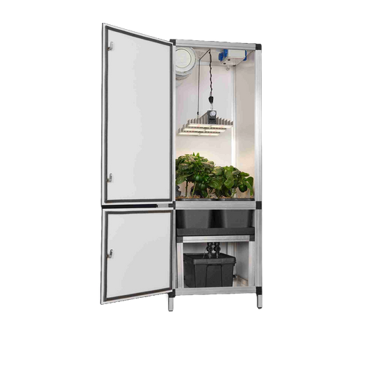 Blooming Town G-Tools - Bonanza Clima 0,35 m² + Sanlight + Bewässerungssystem