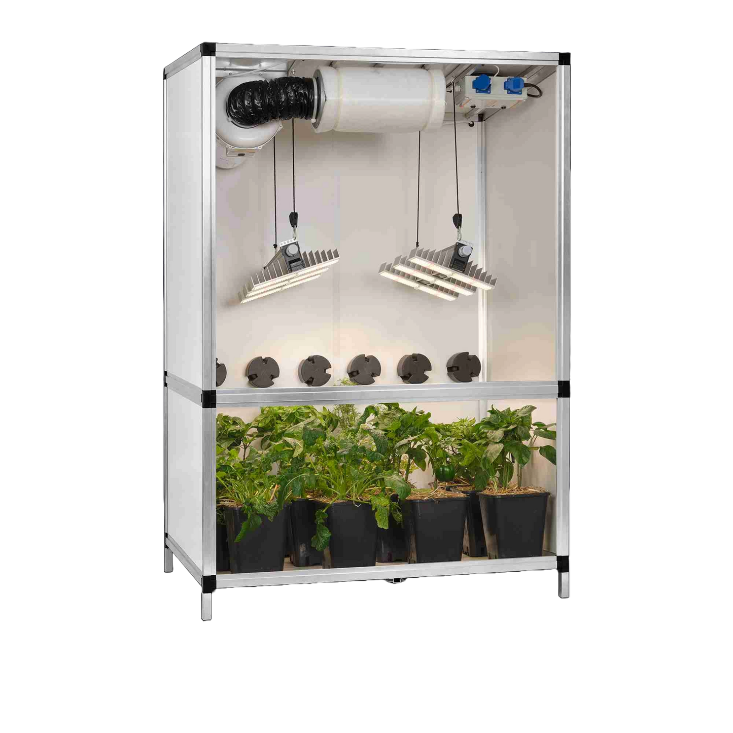 Blooming Town G-Tools - Bonanza Clima 1 m² + 2 x Sanlight