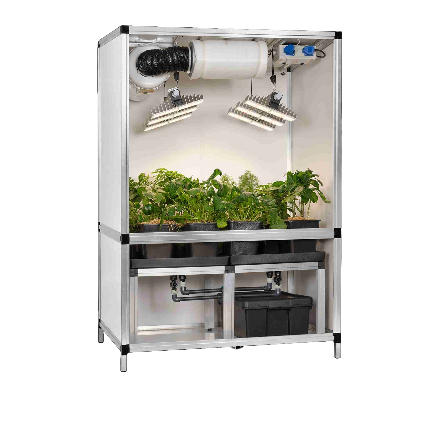 Blooming Town G-Tools - Bonanza Clima 1 m² + 2 x Sanlight + Bewässerungssystem