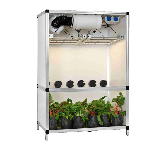 Blooming Town G-Tools - Bonanza Clima 1 m² + 2 x G-Bars