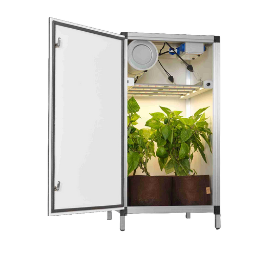 Blooming Town G-Tools - Bonanza Clima Tischmodel 0,35 m² + G-Bar