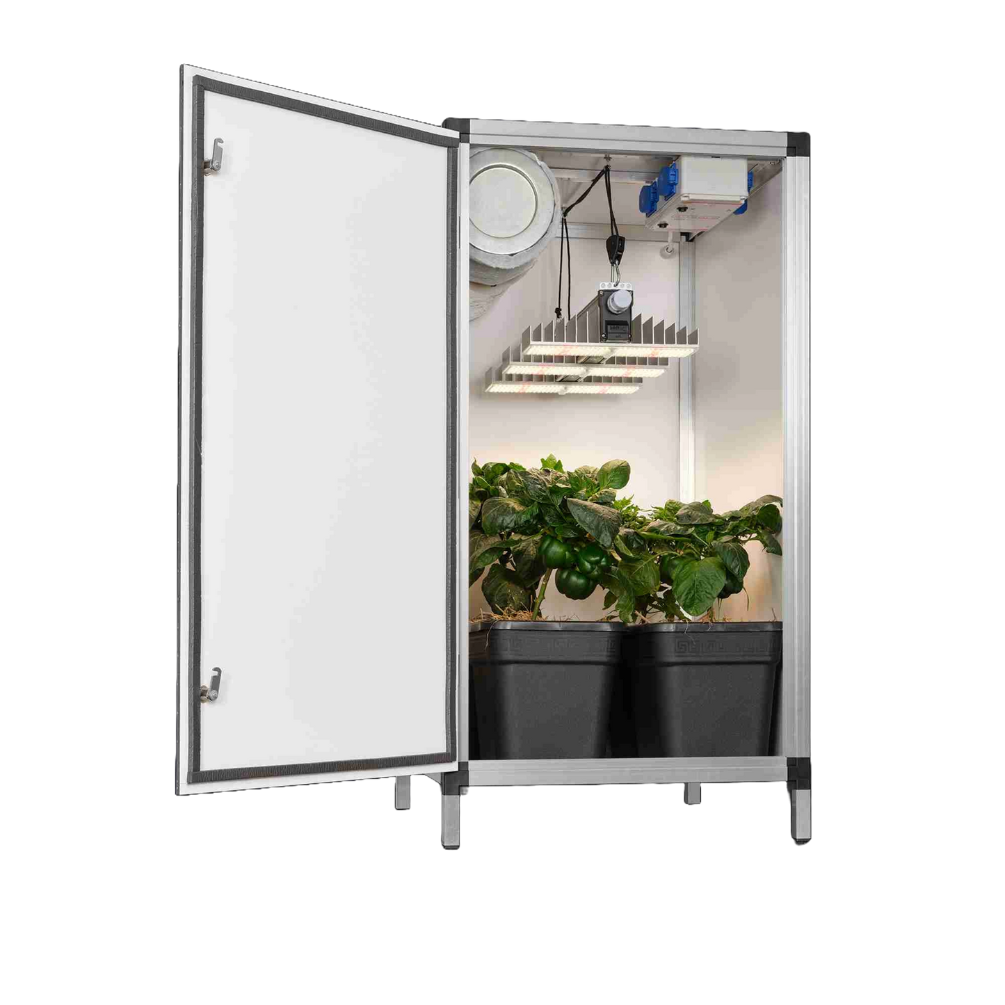 Blooming Town G-Tools - Bonanza Clima Tischmodel 0,35 m² + Sanlight